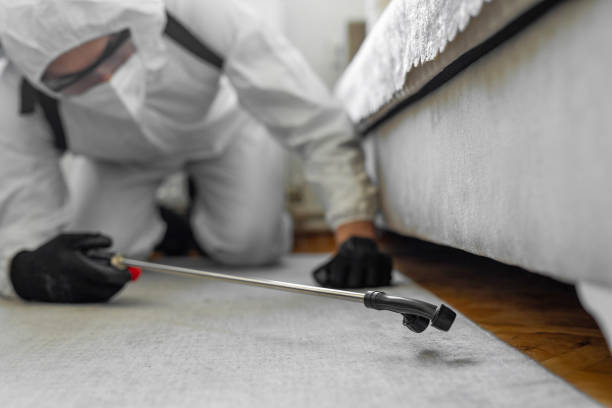 Professional Pest Control technician working in Mililani Town, HI