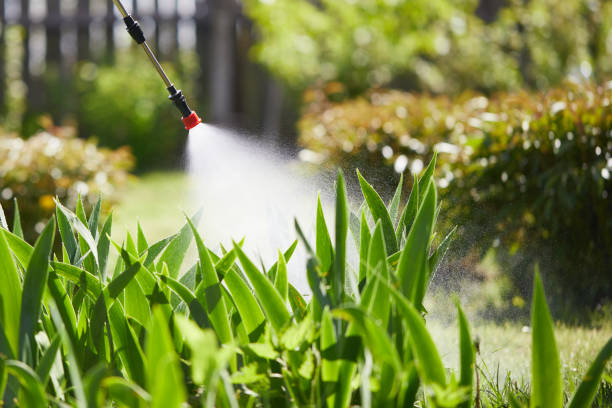 24/7 Emergency Mosquito Control experts in Mililani Town, HI