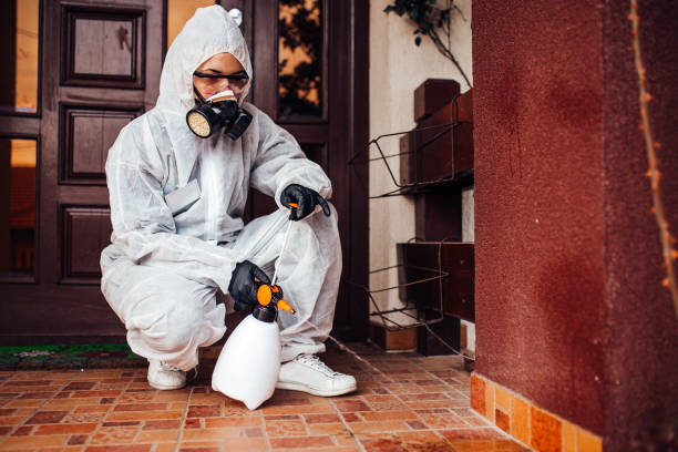 Reliable Mosquito Control contractor in Mililani Town, HI by Nex Pest Control
