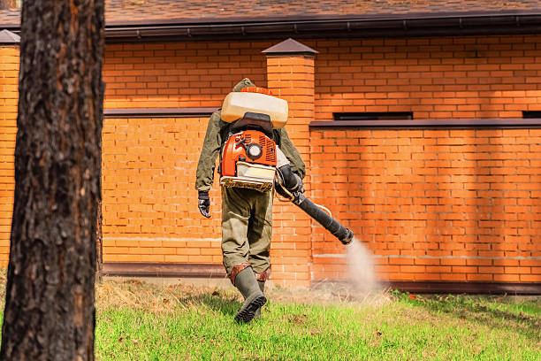 Trusted Rodent Control service in Mililani Town, HI - Nex Pest Control